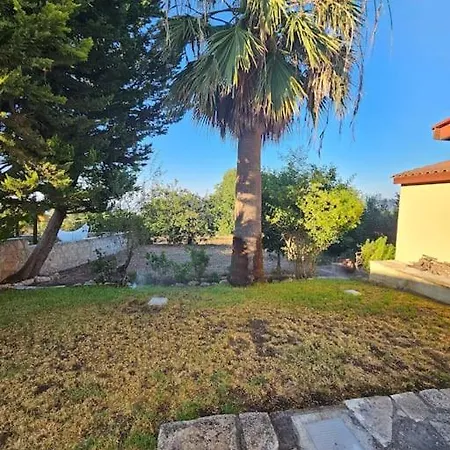 The House In Droushia *